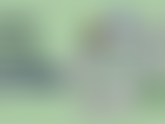 Step 4 to better SEO create 2 types of individuals pages