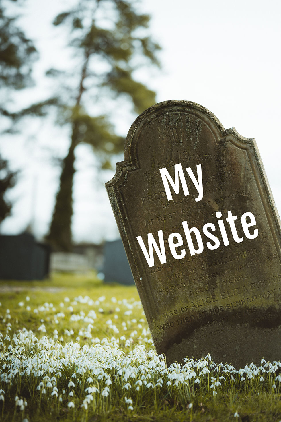 Does Google Think Your Website is Dead? The importance of Regular Updates and Backlinks to keep your website alive.
