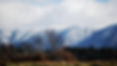 mtview2.JPG