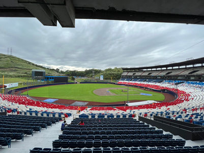 ROD CAREW 3.jpeg