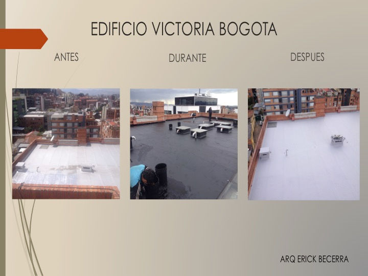 Diapositiva3