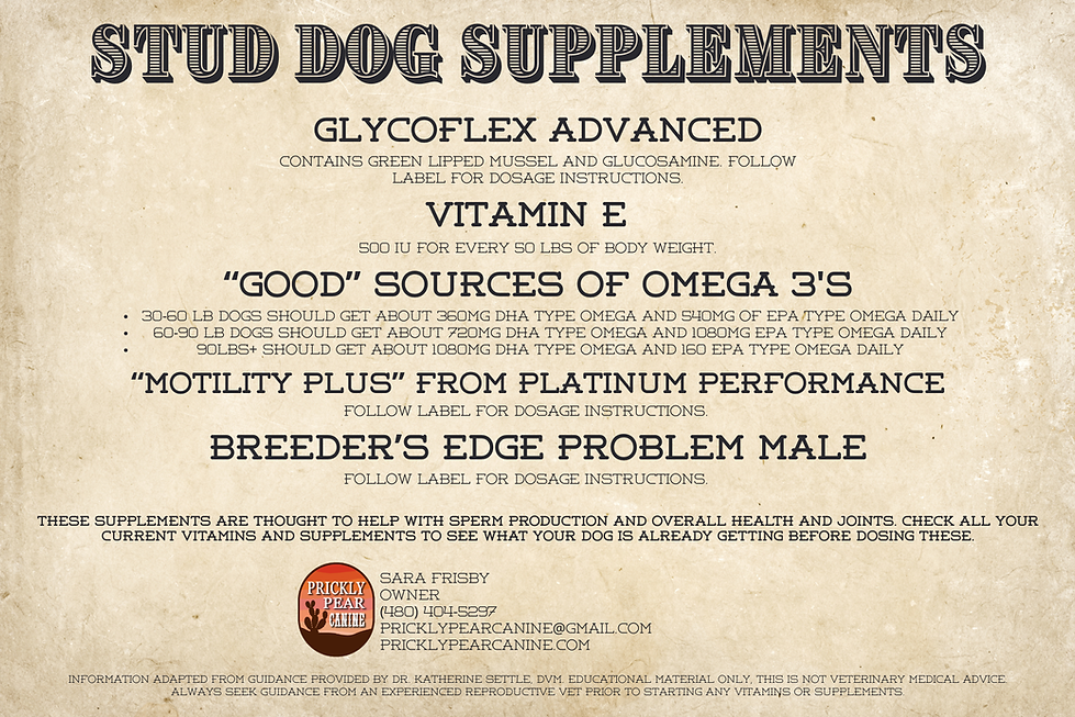 Beige and Black Vintage Rodeo Party Flyer (7 x 5 in) (6 x 4 in).png