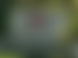 ‼️New Bridge Builders Closet‼️