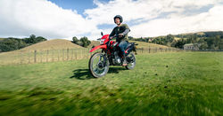 XR150