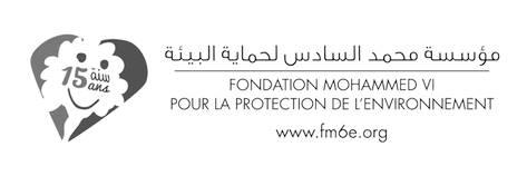 fondation%2520VI_edited_edited.gif
