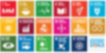 updated sdg grid 2.png
