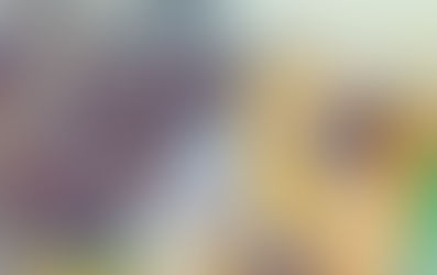 11 FRAGEN AN … SPIELFELD BERLIN