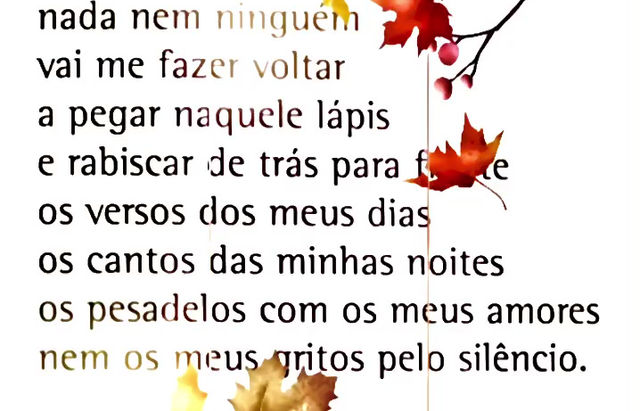 Meu Silêncio