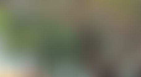 Brasília pega fogo 🔥