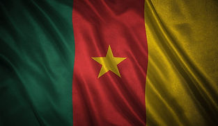 flag-of-the-cameroon-1024x596.jpg