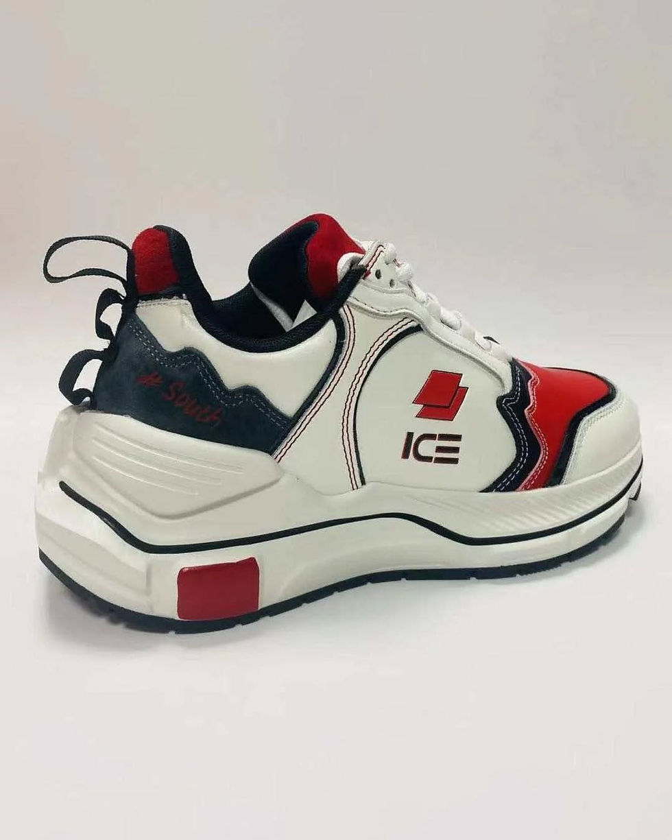 icecompanyltd.com