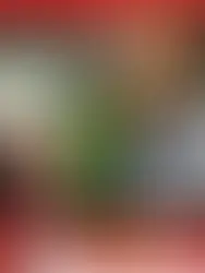 🏀 Le Cameroun TABASSE l'Égypte (95-68) en quarts de finale de l'Afrobasket 2025