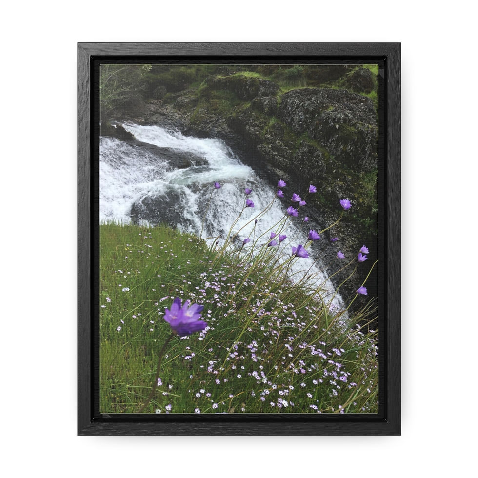 Chico Waterfall photo