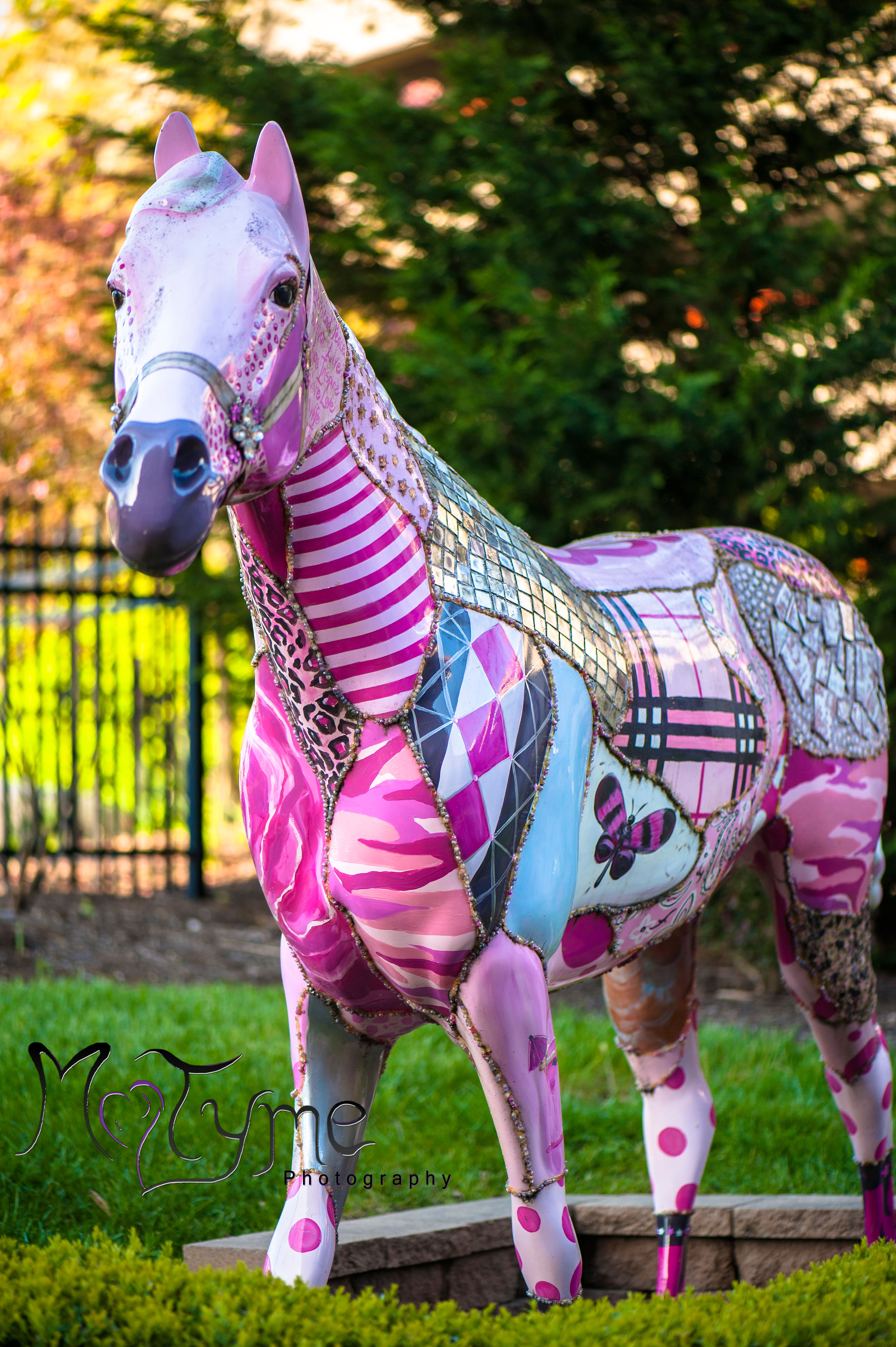 Lexington KY 6 Save the Tatas Horse
