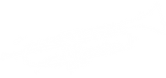 trompette-blanche.png