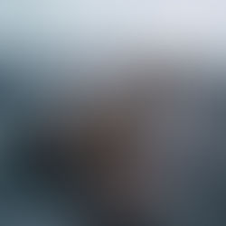 Reprisal under section 275AA 