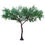 Μικρογραφία: Πράσινο ποιοτικό δέντρο Ύψος 300 εκ. Κωδ. Η85105 www.worldfamilytime.com