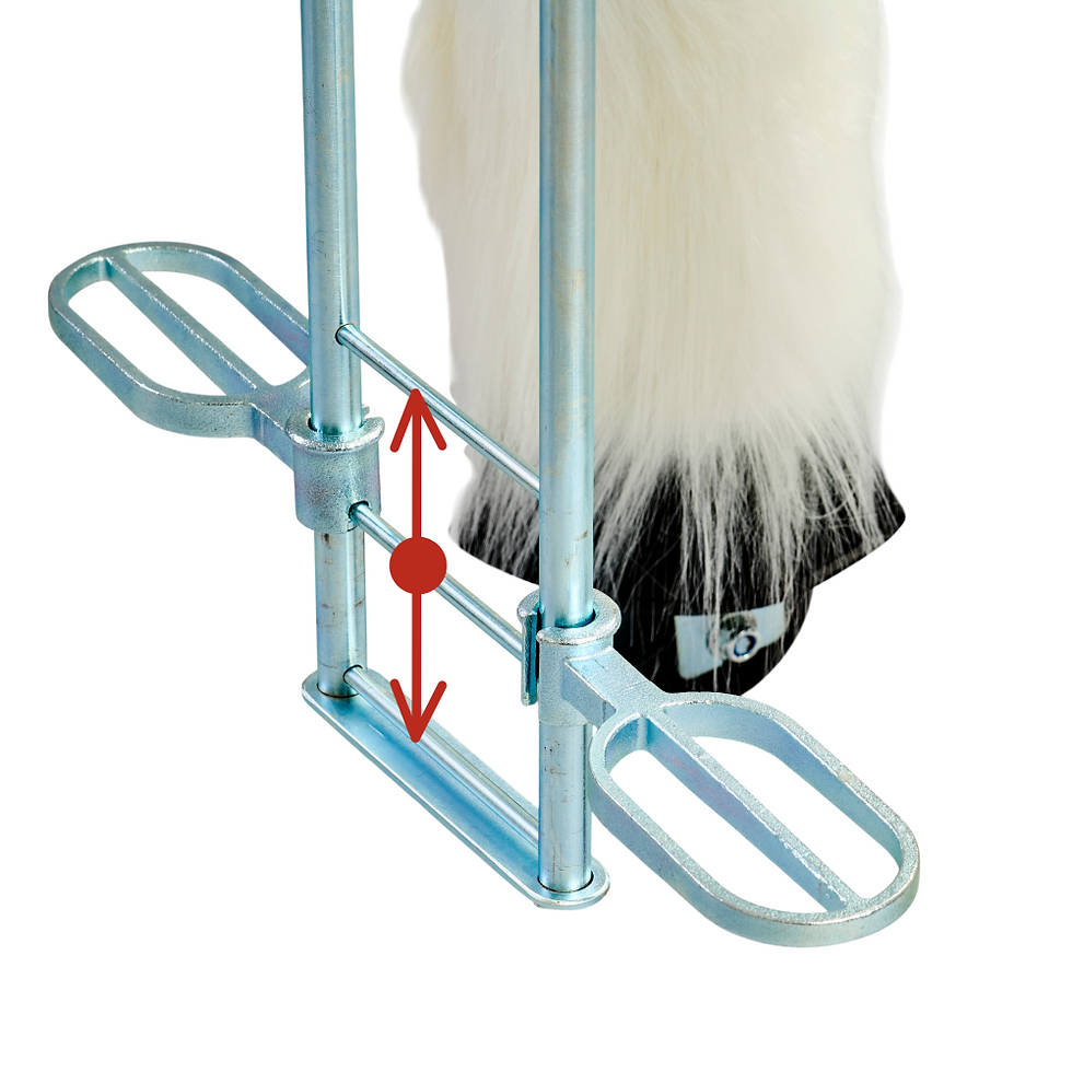 Μικρογραφία: Νέα Καμηλοπάρδαλη  Ιππασίας Professional  Μ/ Υ 5-12ετών κωδ. PR418 , www.worldfamilytime.com