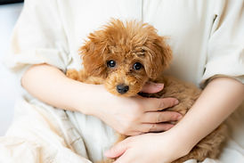 丁寧な説明で安心の医療を提供