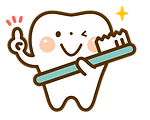 歯のイラスト