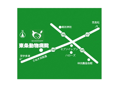 さぬき浜街道沿い