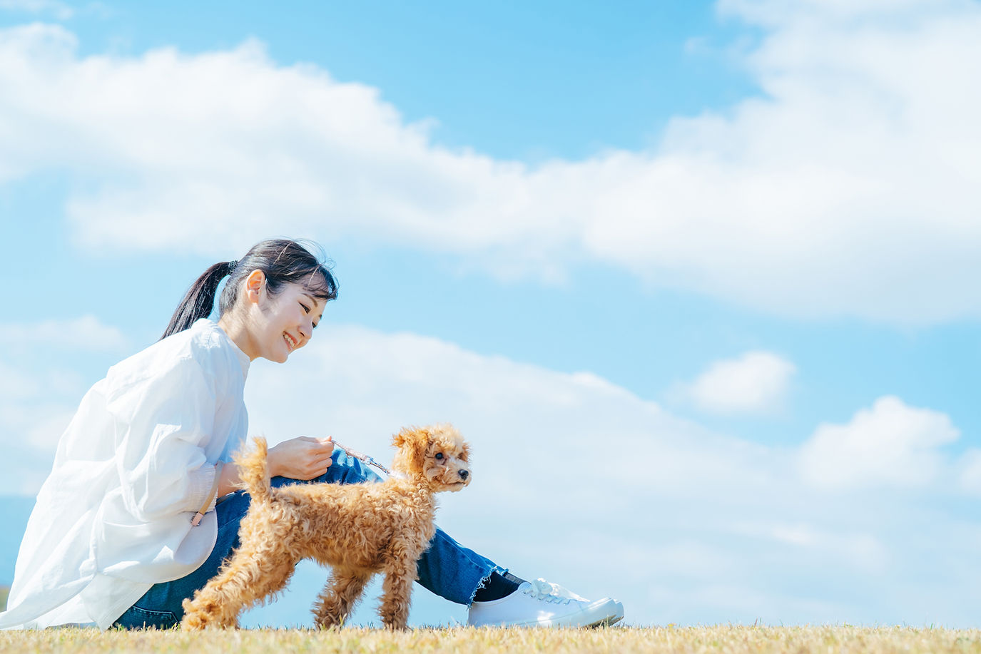 仔犬と飼い主