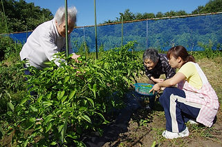 介護施設交流