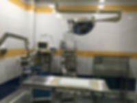 IMG_7289.jpeg