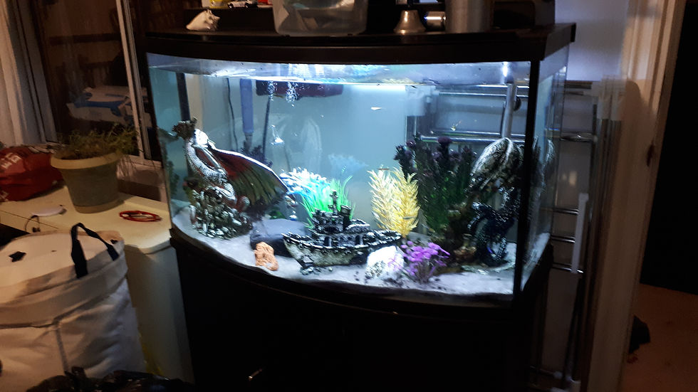 Aquarium