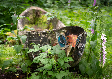 How can companies protect Indigenous Peoples’ rights by caring for forests?