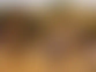 Giraffes