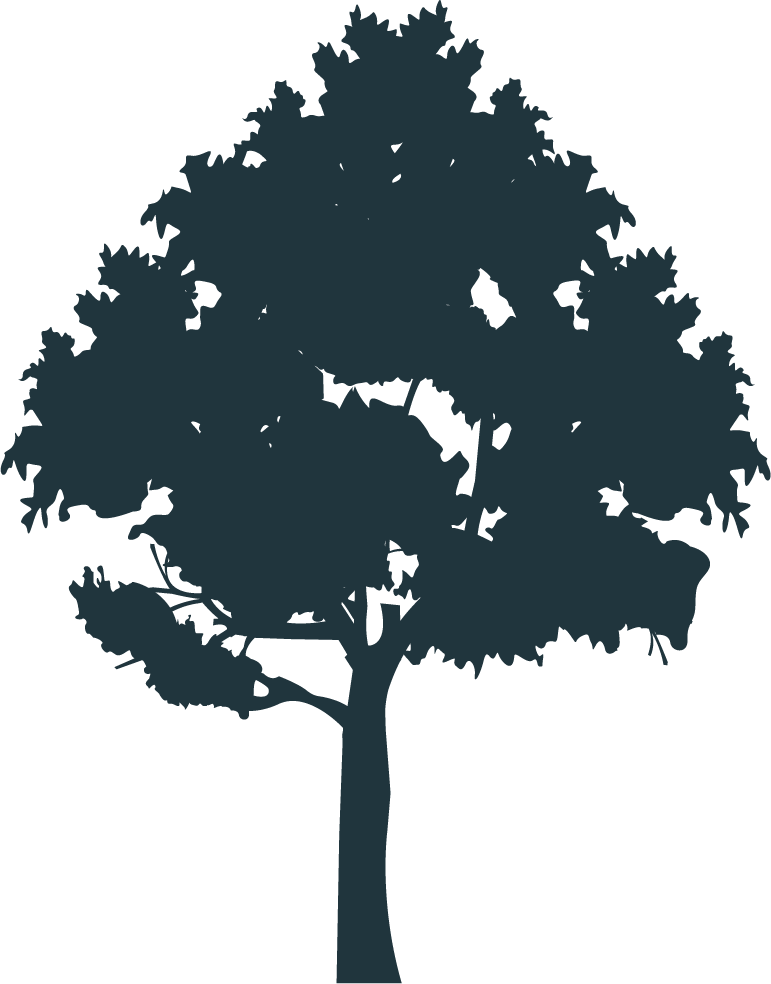 Real Fake Trees Logo of a Tree Dark Hunter Green with Modern Serif Text