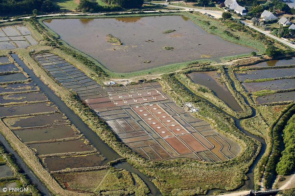 Marais salants de Lasné