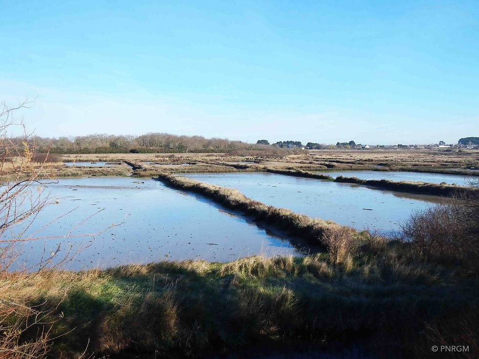 Marais de Bourgogne, Pen Cadénic