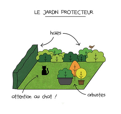 jardin protecteur oiseaux