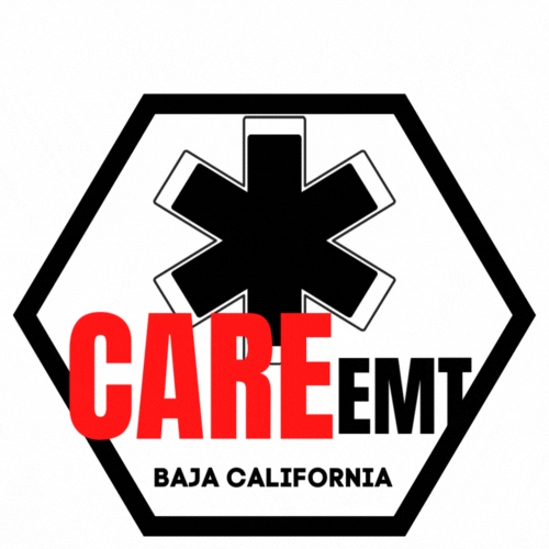 CAREEMTLOGOGIF.gif