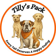 tillys pack.jpeg