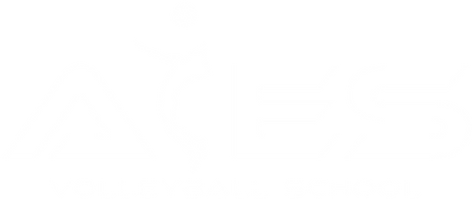 White ACES Volleyball School Logo
