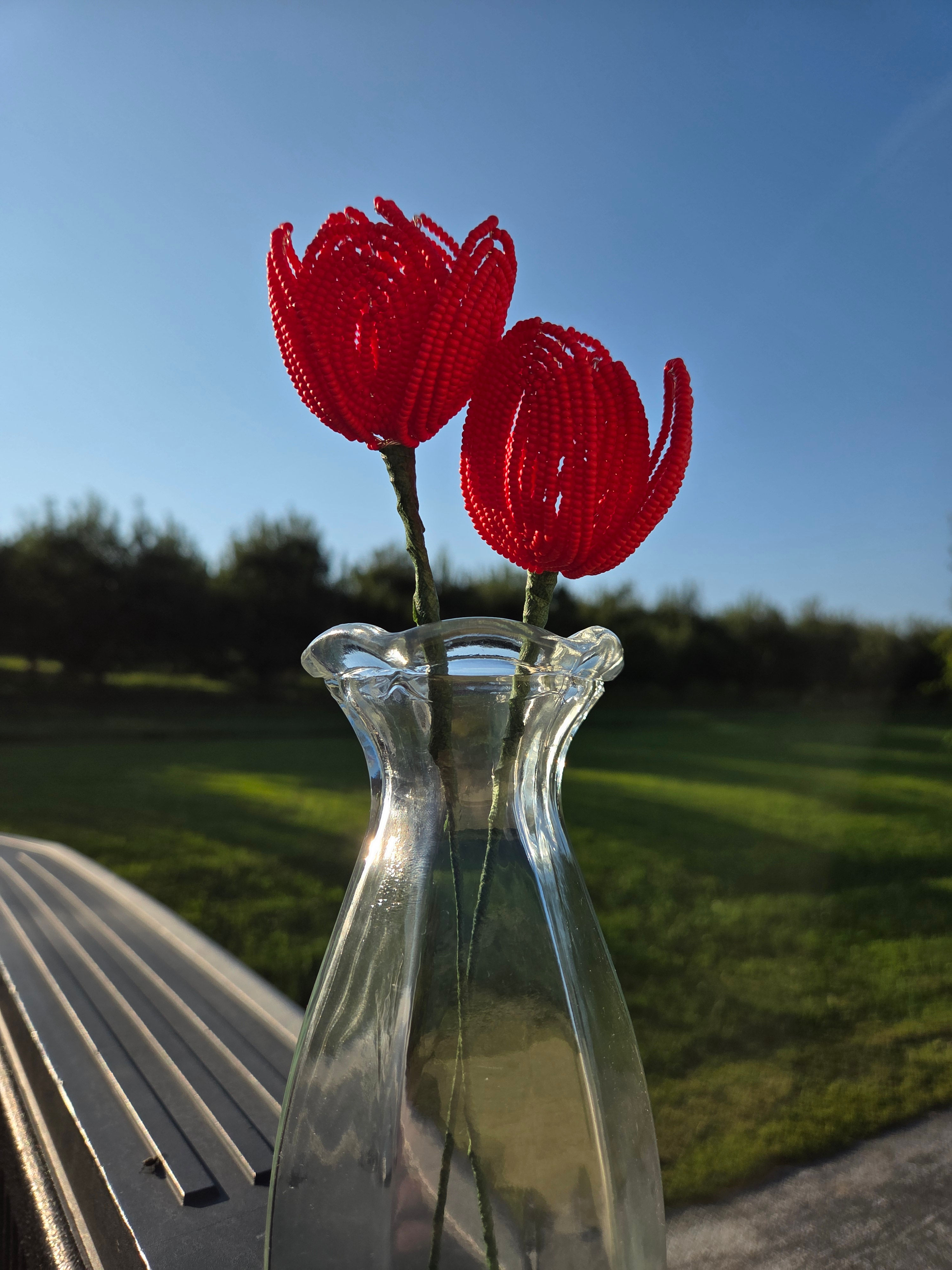 Tulip Forever Flower