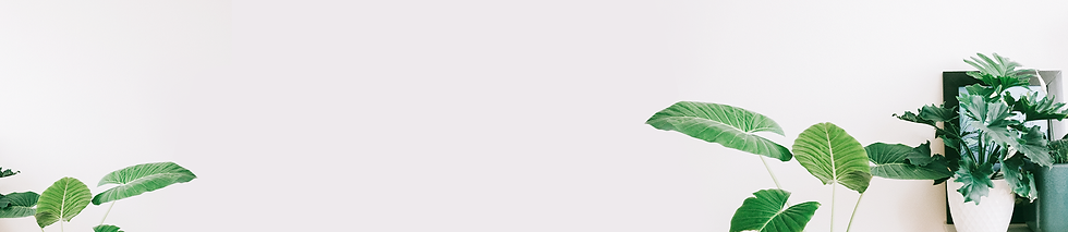 Last-Banner.png