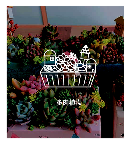 多肉アイコン-01.png