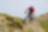 Vélos Gravel à Lyon 3