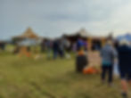 Agricultural Show