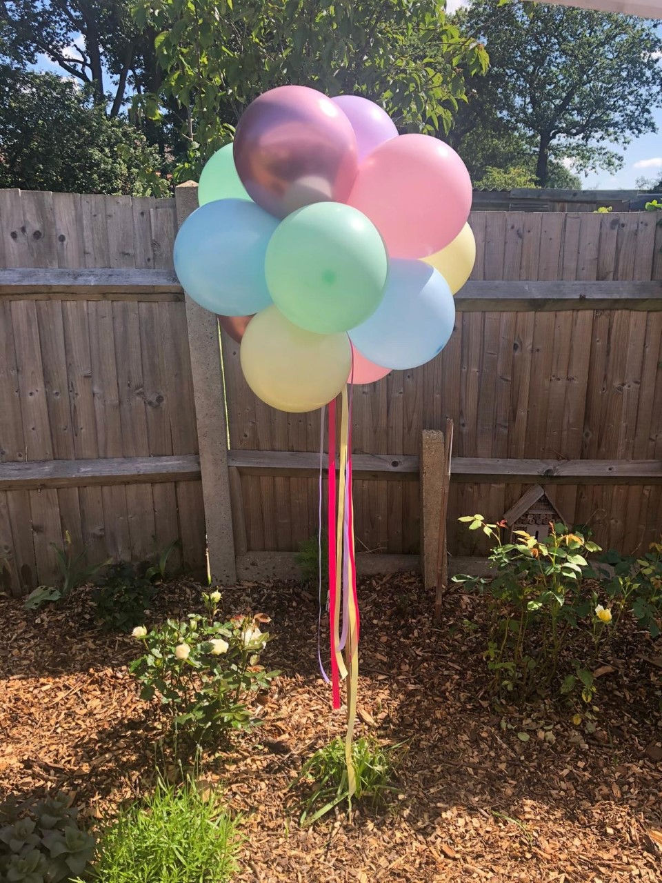 Thumbnail: Balloon Clouds