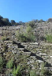 DSCN1579.JPG