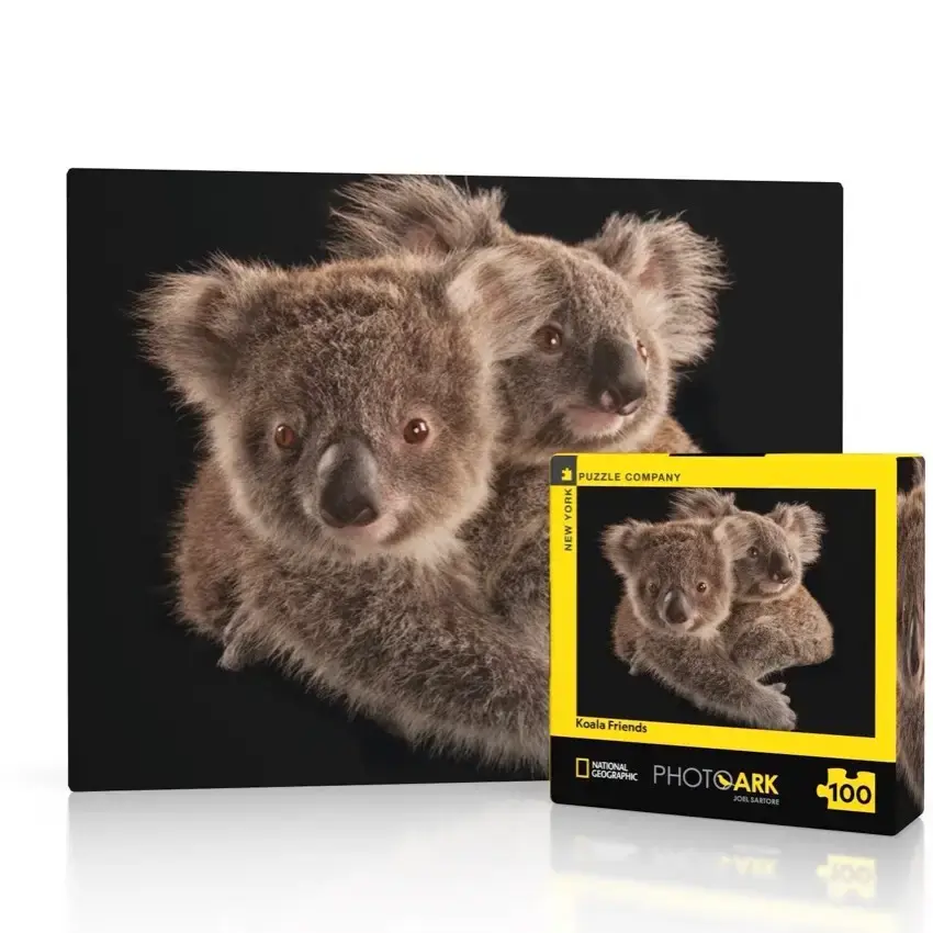 new york puzzle co koala puzzle