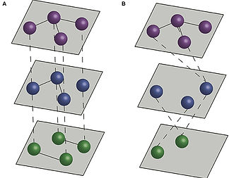 multilayernetworks.jpeg