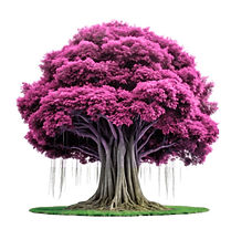 Quadrado site (26).jpg