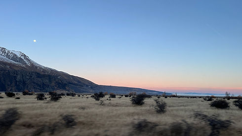 IMG_1194.jpeg