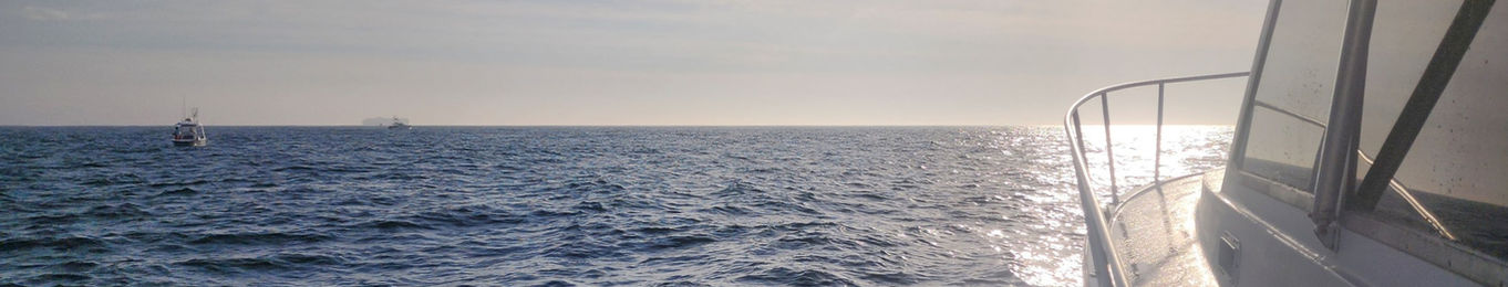 God'z Rod'z & Reel'z banner